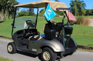 Flag on Golf Cart