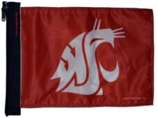 Washington State Flag